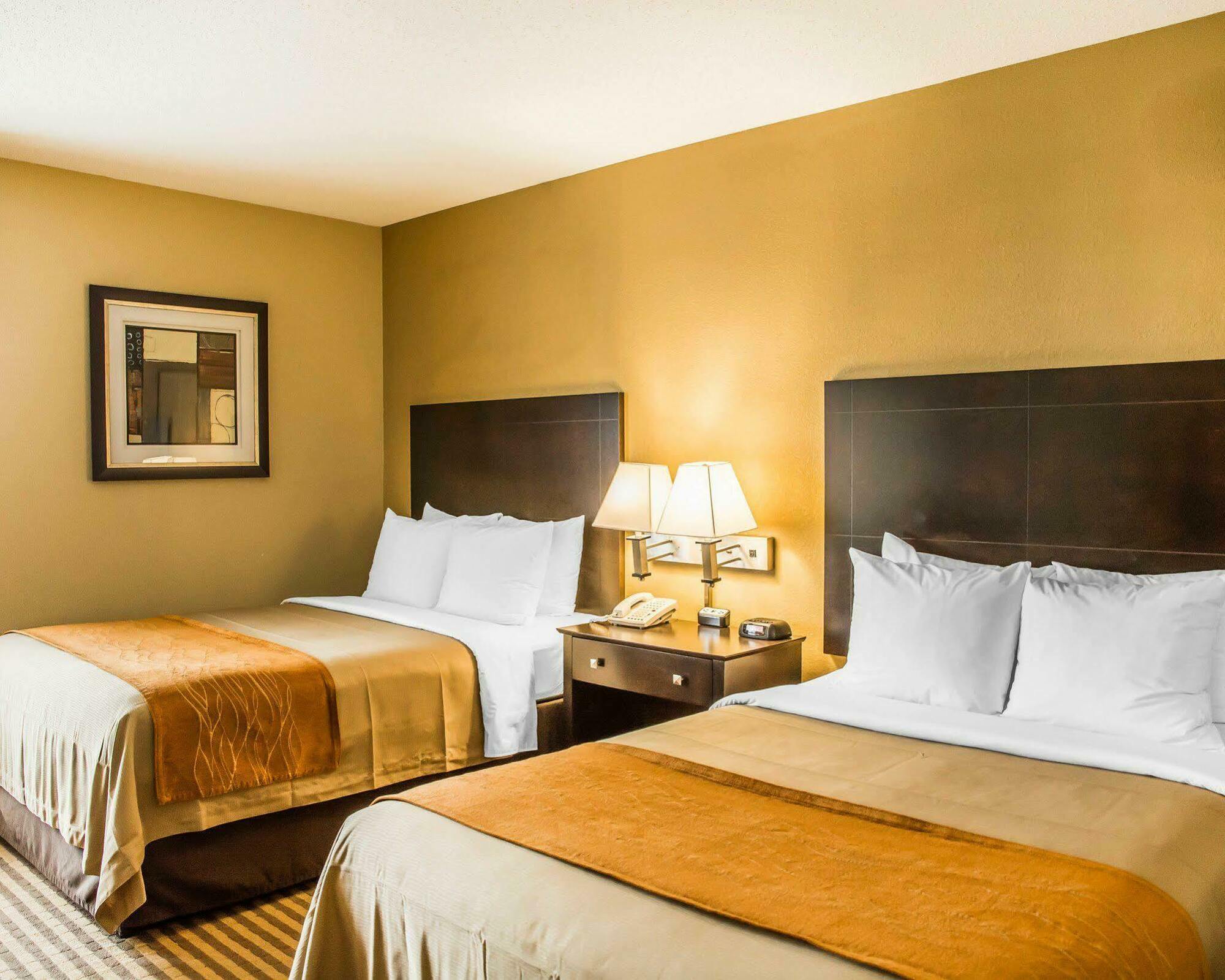 Comfort Inn Airport Turfway Road Florence Exterior photo