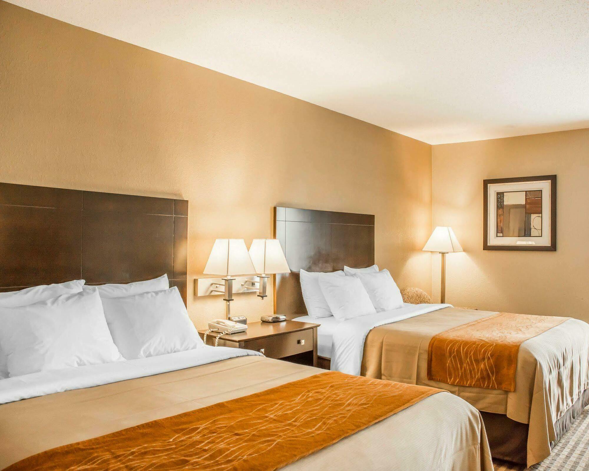 Comfort Inn Airport Turfway Road Florence Exterior photo